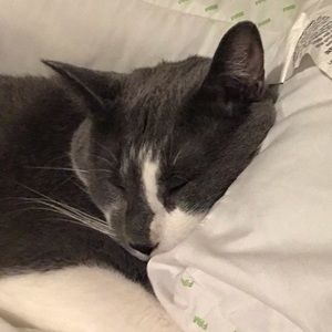 Meet your Posher, Krysta